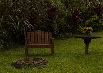 Área externa com fogo de chão.