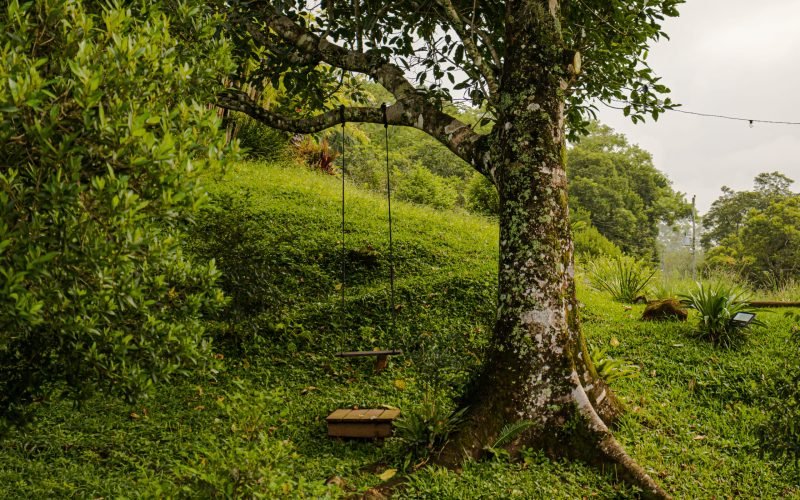 Balanço privativo 01.