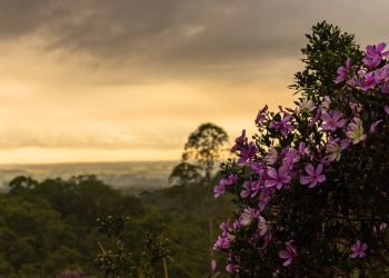 Vista área externa.